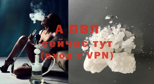 бошки Богданович