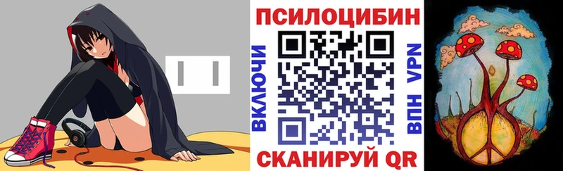 Псилоцибиновые грибы GOLDEN TEACHER  Купить  Малмыж 